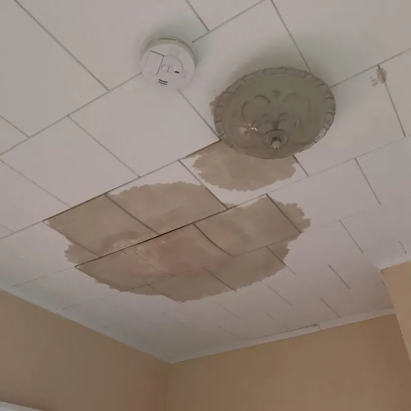 Ceiling Water Damage Repair in Muskingum County, OH