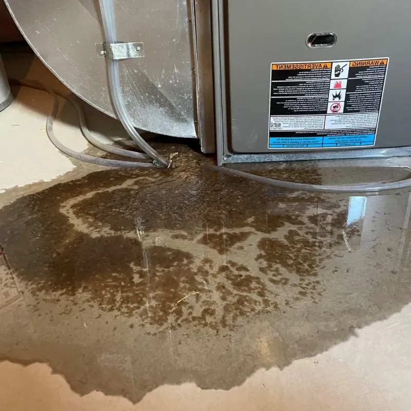 Pipe Burst and Leak Restoration in Muskingum County, OH