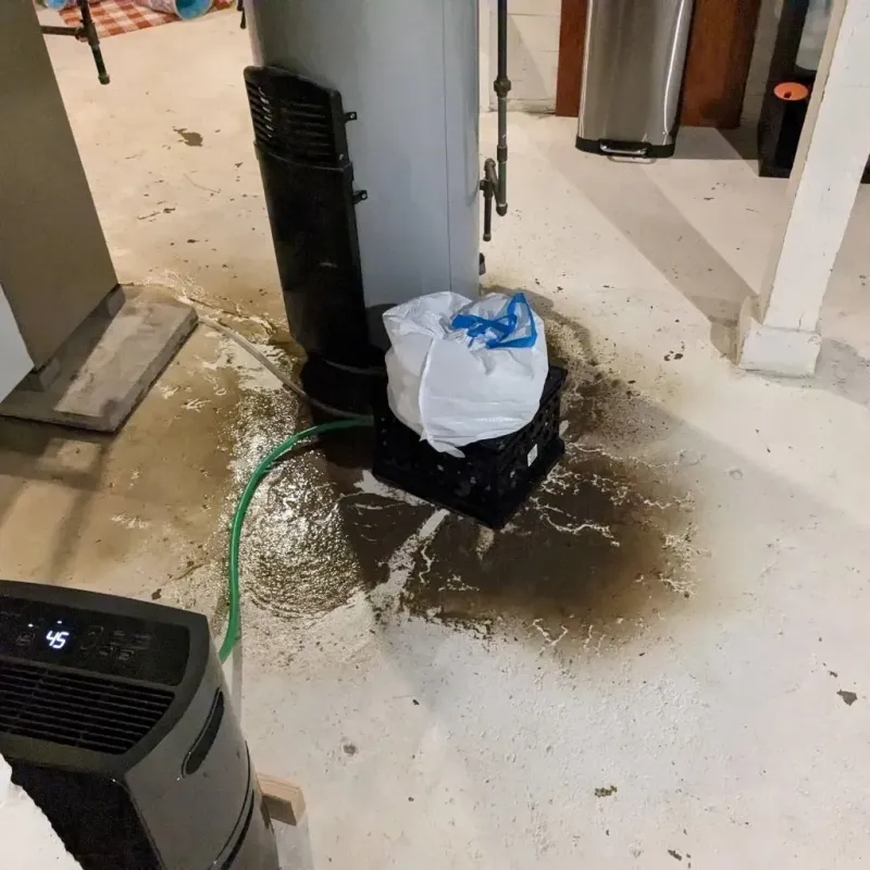 Sewage Backup Cleanup Service in Muskingum County, OH